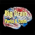 screenshot from Big Brain Perks & Costs video