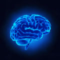 X-ray image of a blue brain glowing against a black background